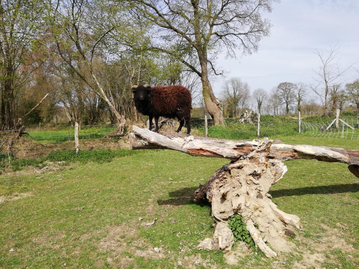 Gite De La Motte Litteau Zewnętrze zdjęcie